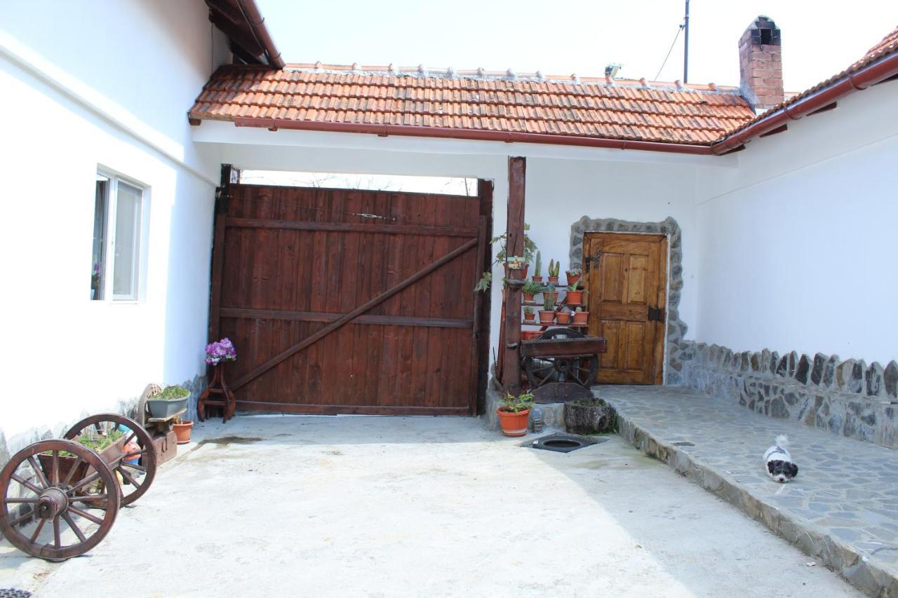 Casa Veverita プレデルツ エクステリア 写真
