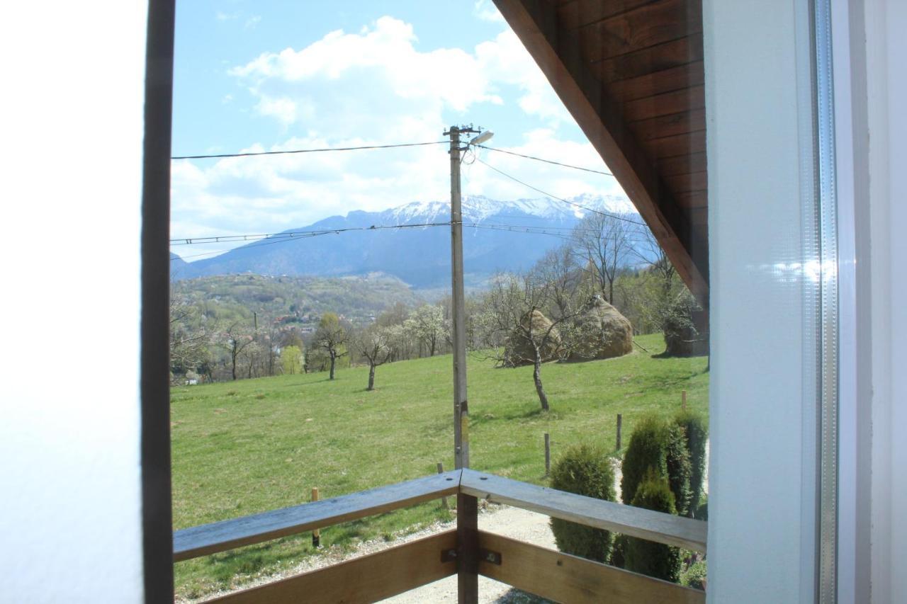 Casa Veverita プレデルツ エクステリア 写真